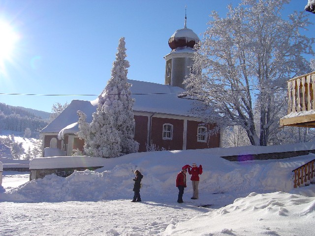 Koci