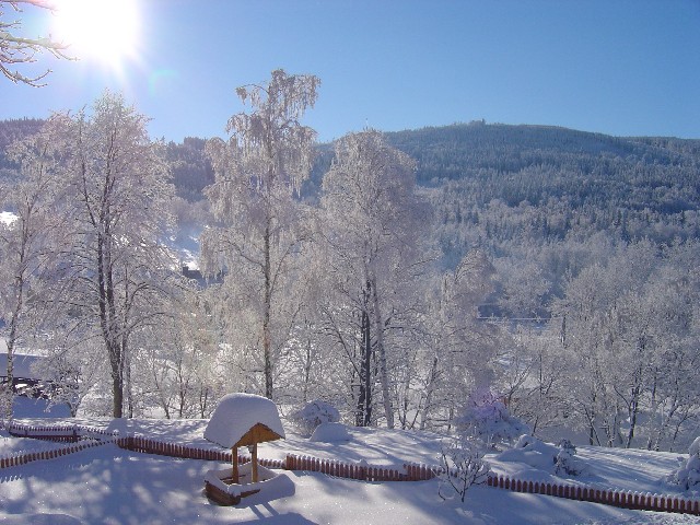 Zima